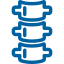 spine spine